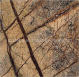 Natural Stone Slab Rain Forest Brown Marble