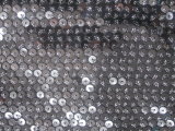 Sequin Lace Fabric (RE21014)