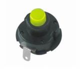 Push Buttion Switch (1580-110C)