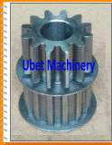 Customized Spur Gear for Gearbox