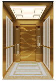 Small Luxury Home Elevator for Villa