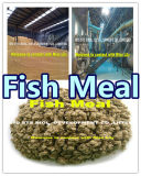 Fish Feed of Fish Meal (Protein 65%)