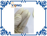 Disposable Glove Latex Glove Latex Powdered Disposable Gloves