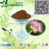 Rhaponticum Uniflorum/Uniflower Swisscentaury Extract Powder 4: 1, 10: 1