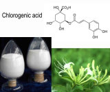 Honeysuckle Extract/Honeysuckle Flower Extract/Chlorogenic Acid