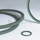 BNS Rotary Seals