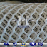 Plastic Plain Net for Construction