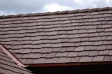 Chinese Rusty Natural Slate Roof (T-S)