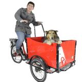 Electric 3 Wheel Cargo Tricycle for Sale in China