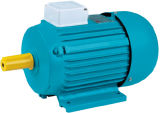 Cast Iron Housing Y Series Electric Motor
