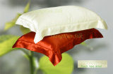 100% Silk Pillow (YUN-SP-001)