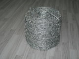 Hot Dipped Galvanized Double Strand Barbed Wire in China