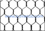 Hexagonal Wire Fence Netting