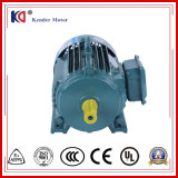Electric AC Induction Pump Motor with 1.5kw High Power