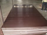 Brown Film Laminated Plywood (15mm)