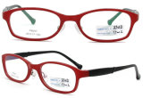 2012 New Models of Glasses Frames Custom Eyeglass Frames See Eyewear Frame Tr90 Optical Eyewear (BJ12-028)