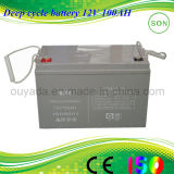 Gfm 12V 100ah Deep Cycle Battery