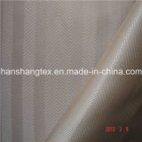 Polyester dobby fabric (HS-E1011)