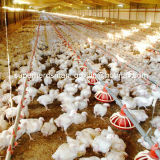 High Quality Automatic Poultry Control Shed Equipment for Broiler