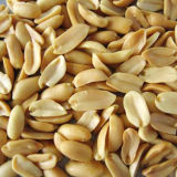 New Crop Good Quality Half Peanut for Sale