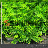 Artificial Boxwood IVY Leaf Hedge Screen