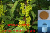 AB-8 Macroporous Adsorption Resin Used for Ginseng Saponin Extract