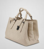 Popular Ladies Bags, Autumn Style Handbag, Women Fashion Handbag (BLS3025)
