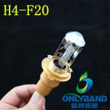 Hottest HID Xenon Lighting for H4