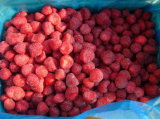 IQF Senga Sengarana Frozen Strawberries