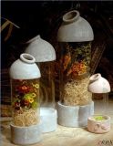 Beautiful Craft/Artwork Home Decoration Creative Glass Vase (F03252-A170-Z01)