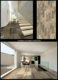 New Design Ink Jet Floor /Wall Tiles/ Ink Jet Ceramic Tiles