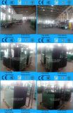3-19mm Insulated Glass/Hollow Glass/Decorative Glass