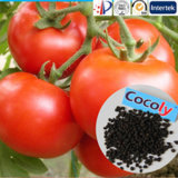 Amino Acid Humic Acid Cocoly Tomatoes Fertilizer Fertilization for Manufacturer