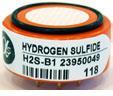 Hydrogen Sulfide Sensor Fixed (H2S-B1)