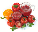 70g*50 Canned Tomato Sauce Price for Ketchup