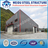 Steel Structures for Buildings (WD100813)