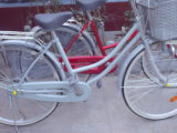 City Bicycle for Woman/ Steel Bicycle