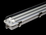 Stainless Steel Waterproof LED Lighting Fixture