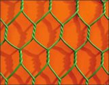 Useful and Cheap Hexagonal Netting