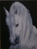 Handmade Modern Horse Oil Painting on Canvas for Wall Decoration (AN-002)