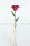 Gift-24k Gold Rose (MG032)
