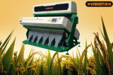 2014 Popular Polished Rice Sorting Machine! Agricultural Machinery for Rice