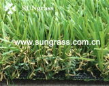 30mm Garden/Recreation Artificial Lawn (SUNQ-HY00042)