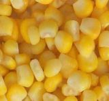 IQF Sweet Corn