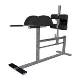 Fitness Equipment/Gym Equipment/Back Extension (FW-2029)