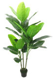 Yy-0912artificial Plants Screen Artificial Evergreen Plant
