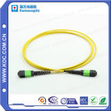 MPO MTP Optical Cable
