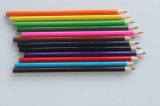 Round Color Pencils
