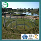 Top Class Cattle Panel/Livestock Panel (LA001)