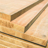 17mm Gurjan Veneer Pine Core Blockboard